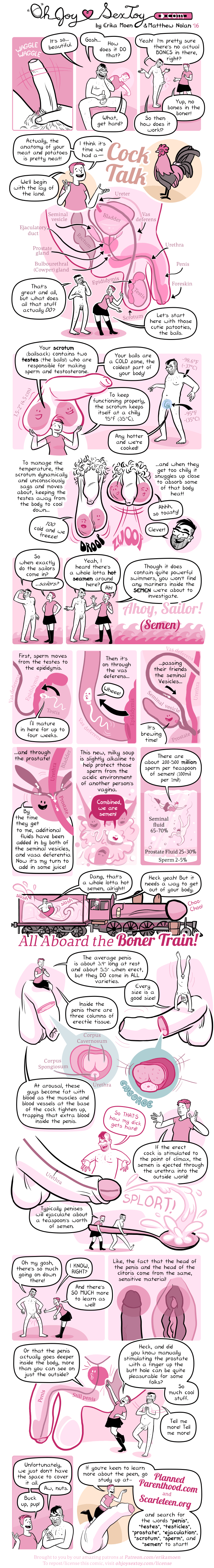 Penis & Pals (anatomy)